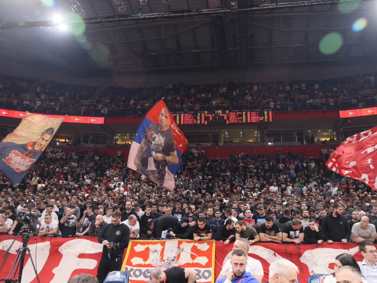 SKANDAL Zvezdin Ko arka U estokoj Sva i Sa Delijama FOTO SKANDAL Zvezdin Ko arka U estokoj Sva i Sa Delijama FOTO